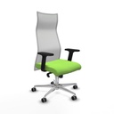 Office Chair Piqueras y Crespo B2D086G Pistachio