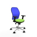 Office Chair Piqueras y Crespo 2D086N0 Pistachio
