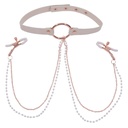 Pinzas para los pezones Sportsheets