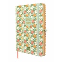 Diary Finocam