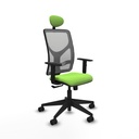 Office Chair with Headrest Motilla Piqueras y Crespo 1D066N1 Pistachio