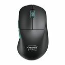 Wireless Mouse Cherry