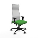 Silla de Oficina Piqueras y Crespo B1C036G Verde