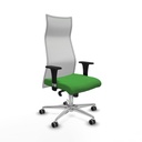 Office Chair Piqueras y Crespo B1C086G Green