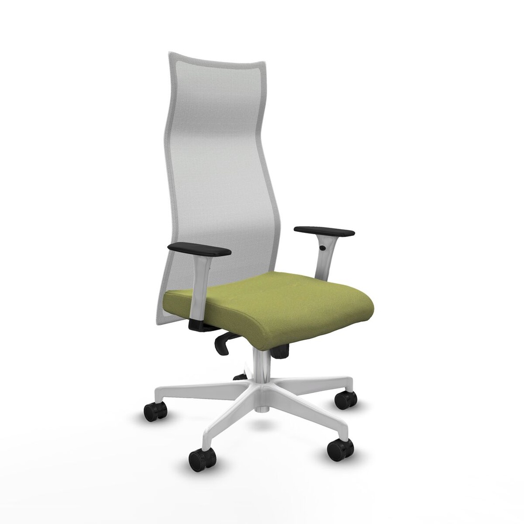 Office Chair Piqueras y Crespo B1B026N Green