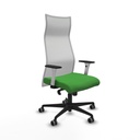 Silla de Oficina Piqueras y Crespo B1B036G Verde