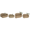 Centerpiece Home ESPRIT Green Natural Tropical 33 X 32 X 8 CM (2 Units)