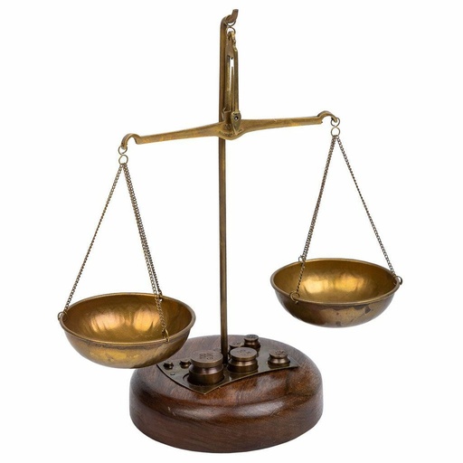 Decorative Figure Alexandra House Living Brown Scales 12 x 25 x 12 cm