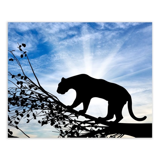 Canvas Wood Canvas 100 x 3 x 80 cm