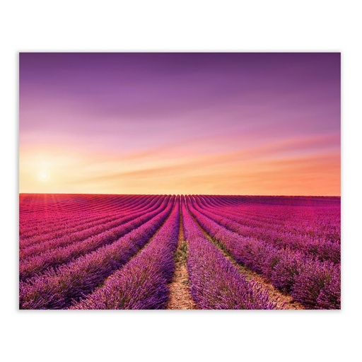 Cuadro Multicolor 100 x 3 x 80 cm
