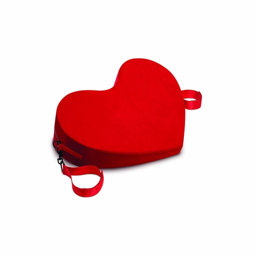 Cojín Whipsmart Rojo