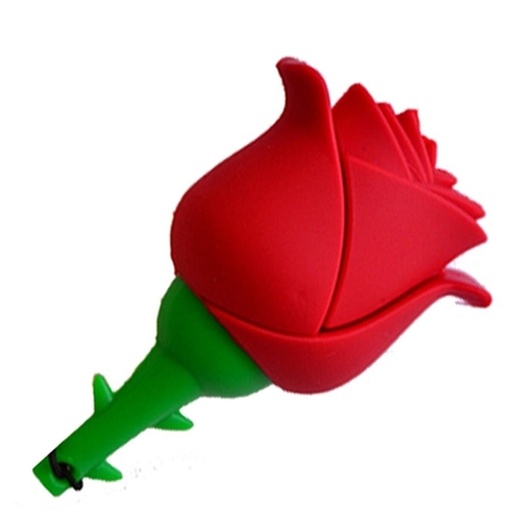 Memoria USB Tech One Tech TEC5131-32 32 GB Rosa