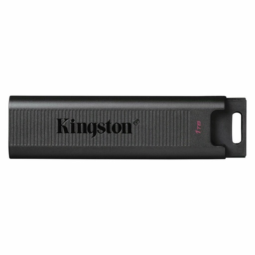 Memoria USB Kingston DTMAX/1TB Negro 1 TB