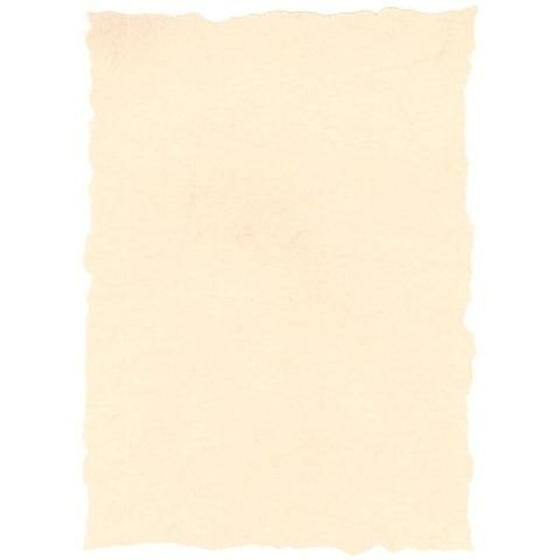 Papel pergamino Michel A4 25 Piezas