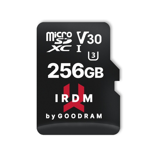 Memoria USB GoodRam IR-M3AA-2560R12 256 GB Negro