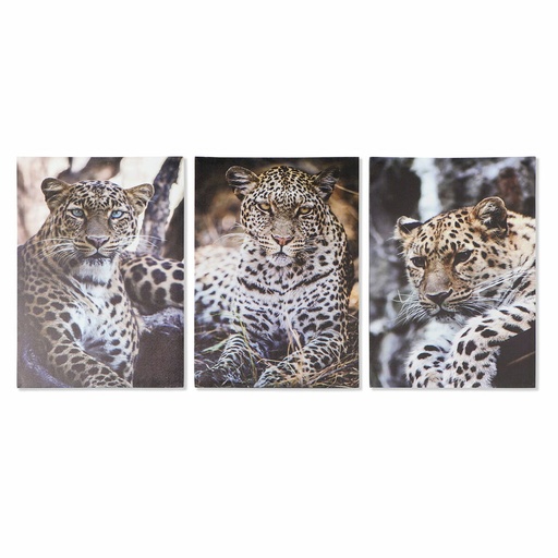 Cuadro DKD Home Decor Leopardo Colonial (50 x 1,8 x 70 cm)
