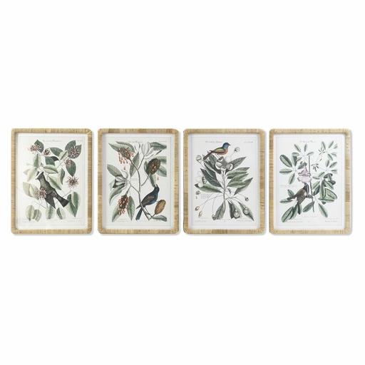 Cuadro DKD Home Decor 50 x 2,5 x 65 cm Shabby Chic Plantas botánicas (4 Piezas)