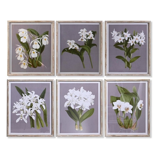 Cuadro DKD Home Decor Cristal Abeto 50 x 60 x 2,8 cm 50 x 2,8 x 60 cm