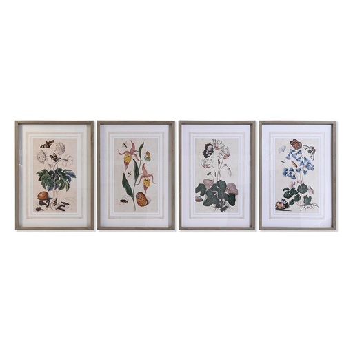 Cuadro DKD Home Decor Abeto Cristal 50 x 65 x 2,5 cm 50 x 2,5 x 65 cm 50 x 2,5 x 70 cm Flores (4 Piezas)