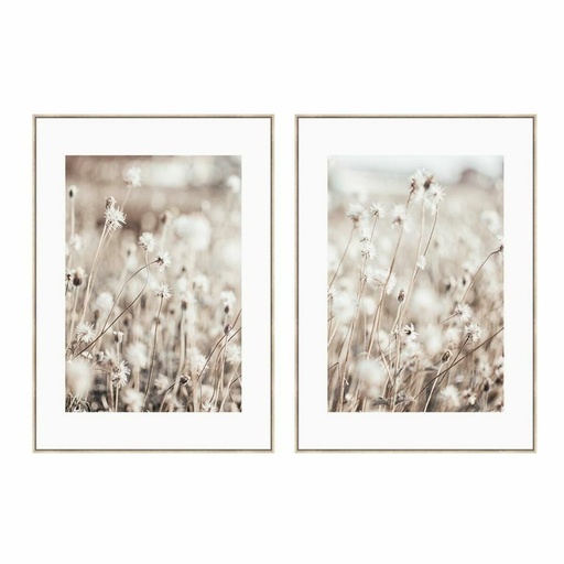 Canvas DKD Home Decor polystyrene Canvas 75 x 4 x 100 cm