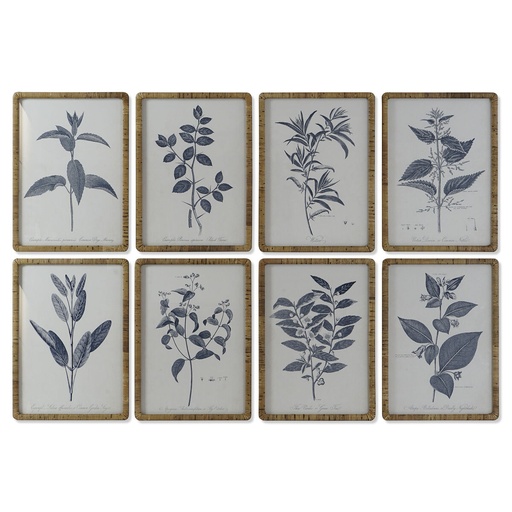 Cuadro DKD Home Decor Moderno Plantas botánicas 50 x 2,5 x 70 cm (8 Unidades)