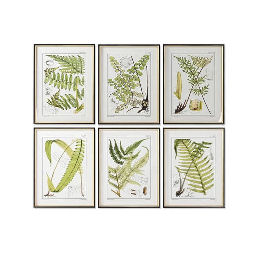 Cuadro Home ESPRIT Moderno Helecho 50 x 2,5 x 65 cm (6 Unidades)