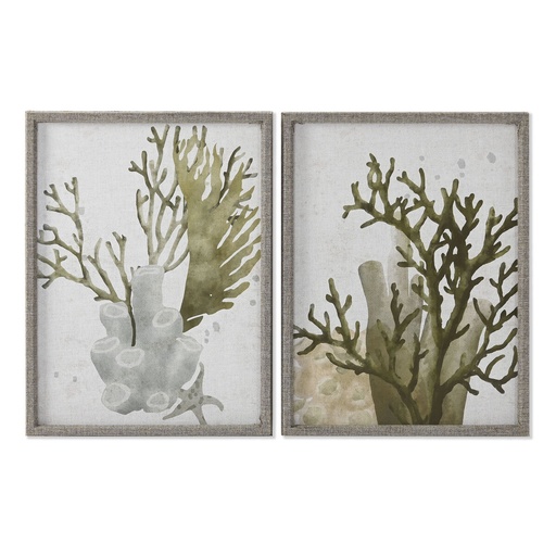 Cuadro Home ESPRIT Verde Coral Mediterráneo 45 x 2 x 60 cm (2 Unidades)