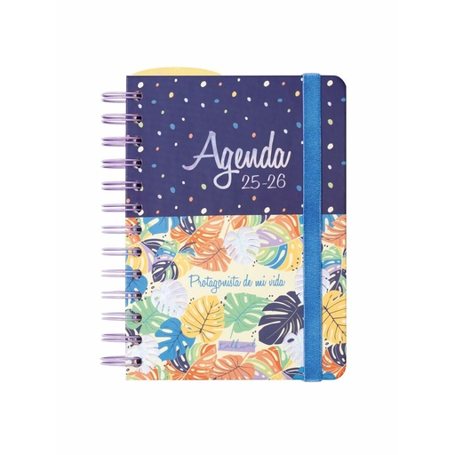 Agenda Finocam