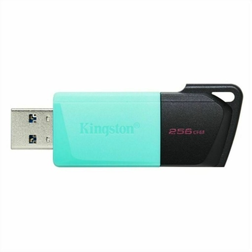 Memoria USB Kingston Exodia M Negro 256 GB (1 unidad)