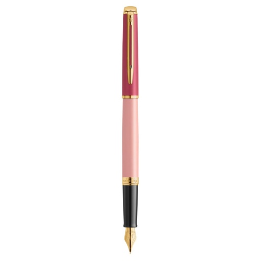 Calligraphy Pen Waterman 8129899