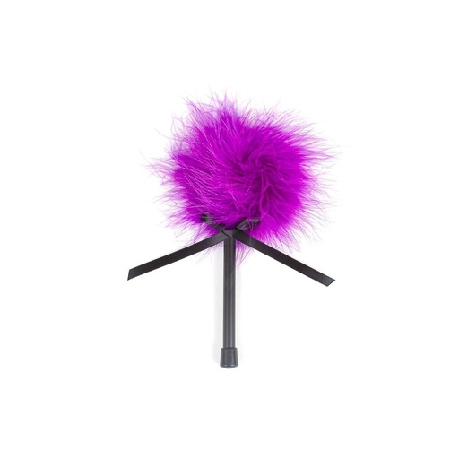 Feather Tickler Secret Play