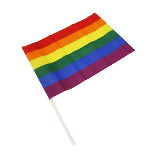 Bandera Divertysex 30 x 20 cm Multicolor 12 Piezas