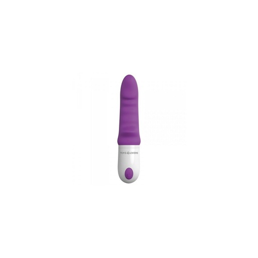 G-Spot Vibrator Toyz4lovers Purple