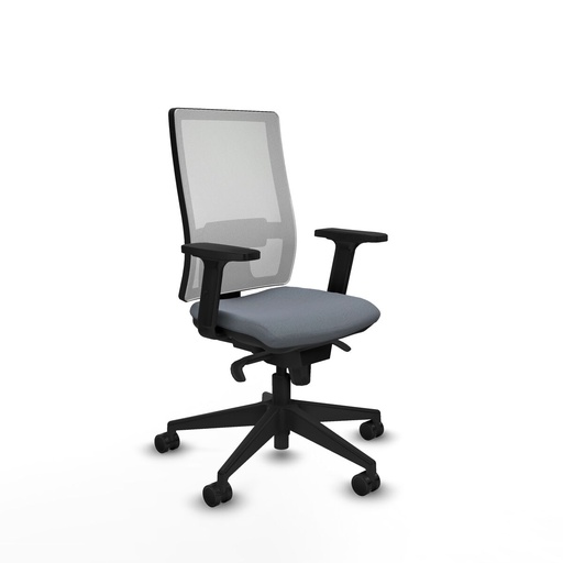 Office Chair Piqueras y Crespo 2D066N0 Grey