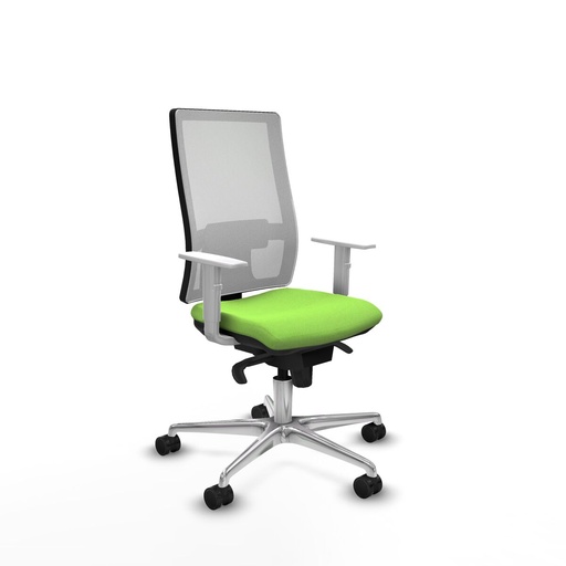 Office Chair Piqueras y Crespo 4B086N0 Pistachio