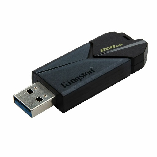 Memoria USB Kingston DTXON/256GB Negro 256 GB
