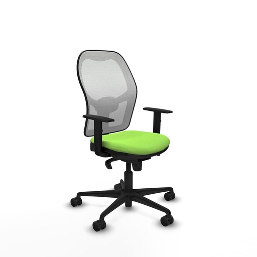 Office Chair Piqueras y Crespo 1D036N0 Pistachio