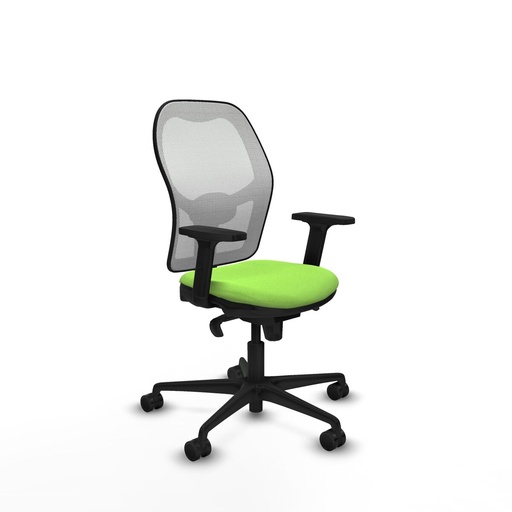 Office Chair Piqueras y Crespo 2D036N0 Pistachio
