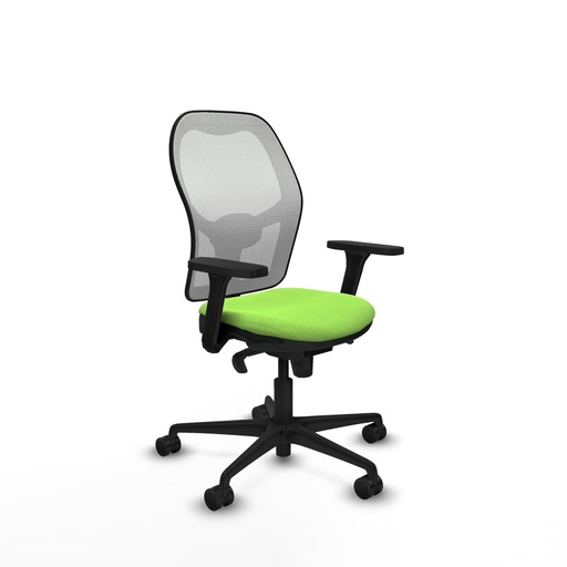 Office Chair Piqueras y Crespo 3D036N0 Pistachio
