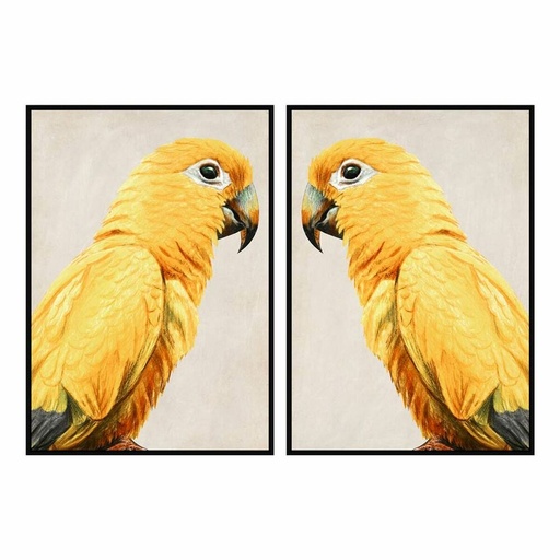 Cuadro DKD Home Decor Loro Tropical (103 x 4,2 x 143 cm) (2 Unidades)