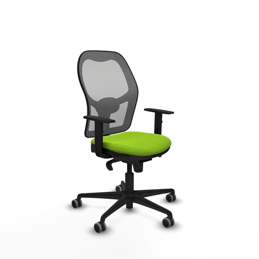 Office Chair Piqueras y Crespo 1D036G0 Pistachio