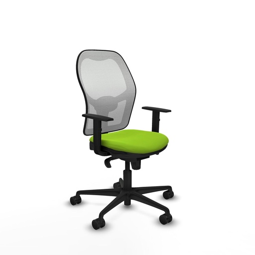 Office Chair Piqueras y Crespo 1D036N0 Pistachio