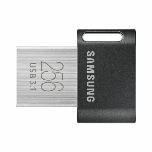 Memoria USB Samsung MUF-256AB/APC Plateado 256 GB