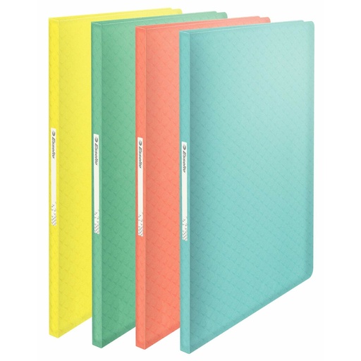 Carpeta Clasificadora Esselte ICE A4 20 Piezas