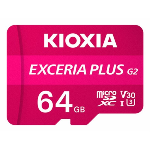 Memoria USB Kioxia LMPL2M064GG2 Rosa 64 GB