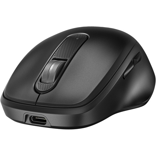 Bandolera HP