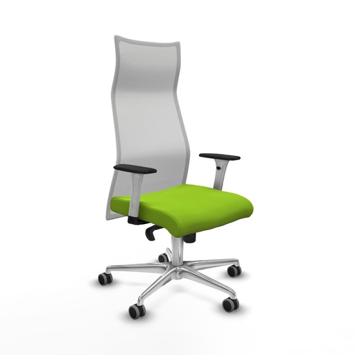 Office Chair Piqueras y Crespo B1B086G Pistachio