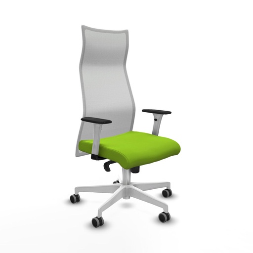Office Chair Piqueras y Crespo B1B026G Pistachio