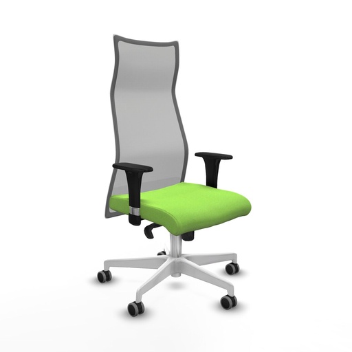 Office Chair Albacete Piqueras y Crespo B1C026G Pistachio