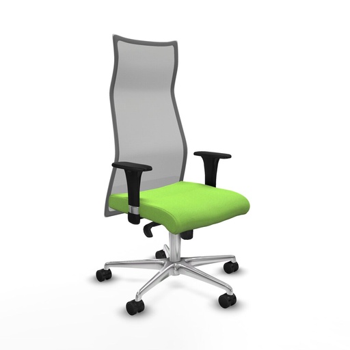 Office Chair Albacete Piqueras y Crespo B1C086N Pistachio